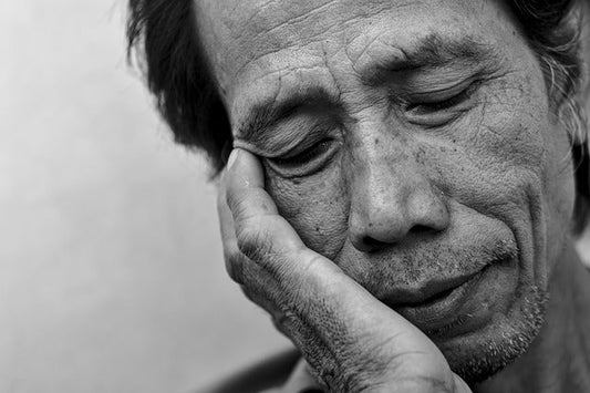 How Does Reishi Work to Promote Sleep? - Zylo