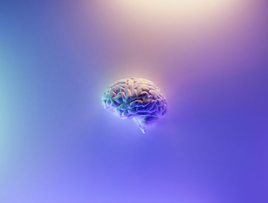 Focus Gummies Vs. Brain Training Apps: a Comprehensive Comparison - ZYLO Nutrition