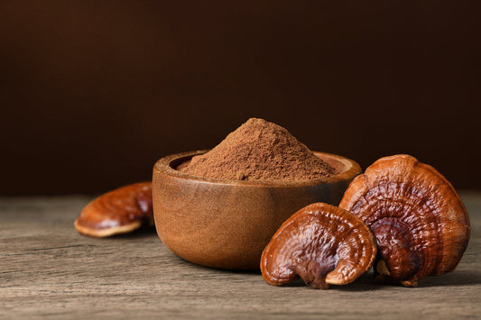 REISHI MUSHROOM RECIPES FOR BETTER SLEEP