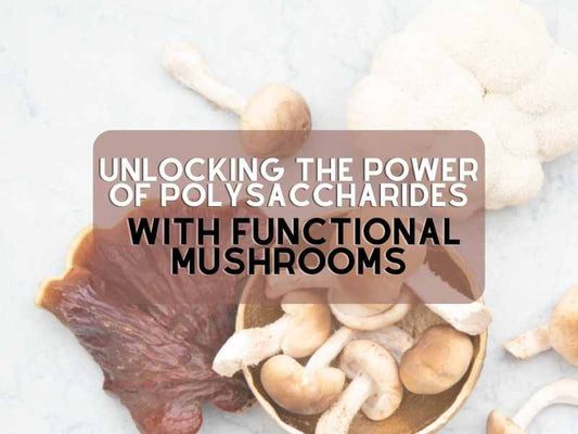 Unlocking the Power of Polysaccharides with Functional Mushrooms