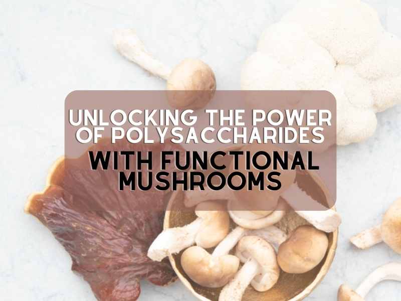 Unlocking the Power of Polysaccharides with Functional Mushrooms