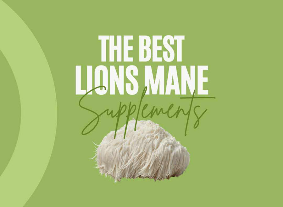 best Lion's Mane supplements