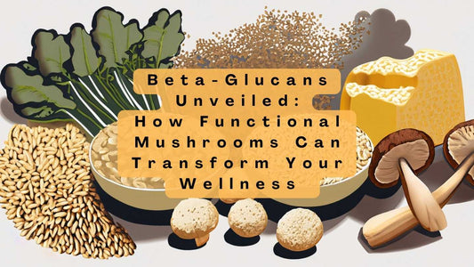 Beta-Glucans Unveiled: How Functional Mushrooms Can Transform Your Wellness Journey
