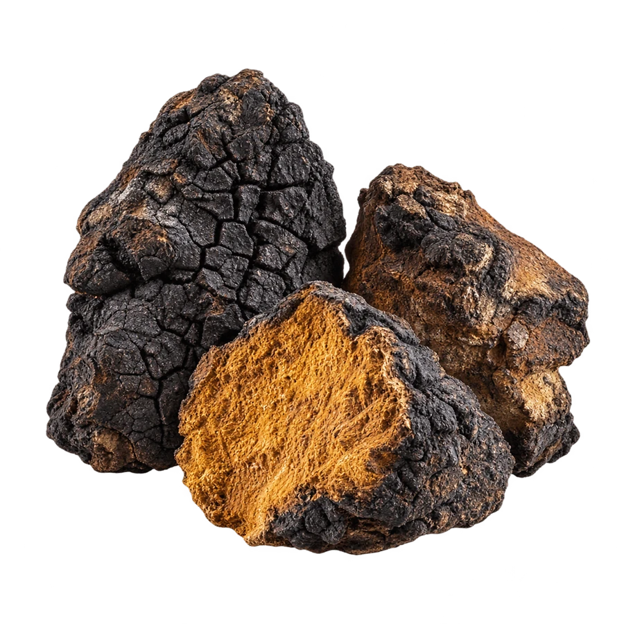 CHAGA